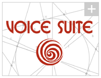 voice meeting e voice transcribe